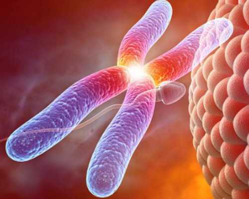 合肥代孕生子机构,支原体感染会影响到俄罗斯试管婴儿的成功率吗_供卵中介合