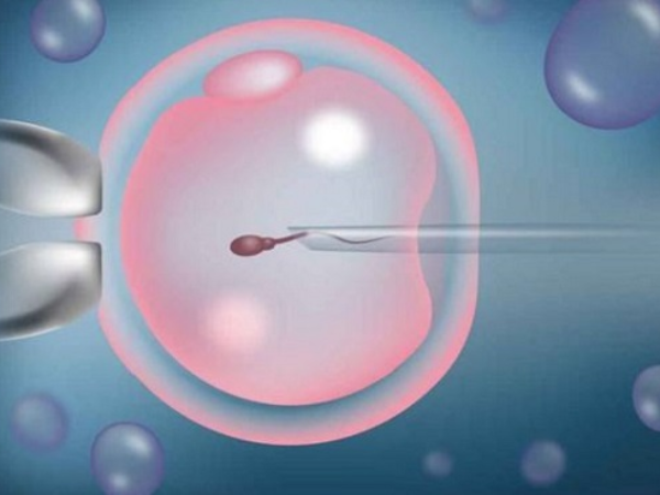 在苏州市立医院做三代试管可以移植两个胚胎生双胎吗？