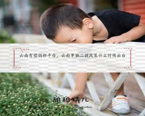 广州正规供卵机构生子排名前十公布，附医院名单？