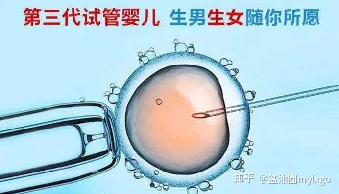 2022在上海助孕怎么样,上海地区试管助孕费用情况