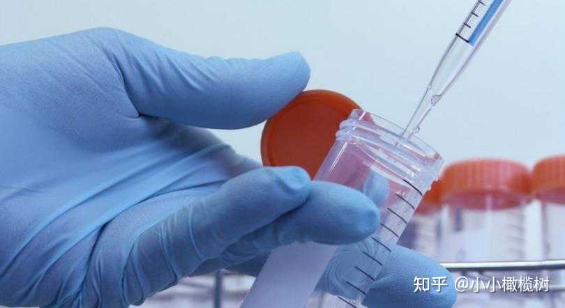 上海供卵试管怎么样,上海哪个私立医院做供卵试管最靠谱？