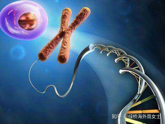 2023广州六院生殖中心有借卵生子成功的吗？